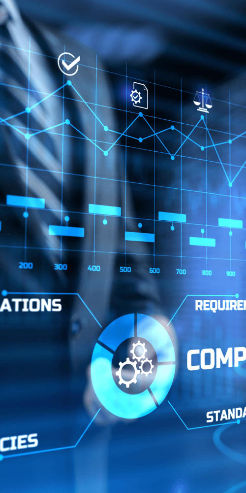 Digizoom IT Compliance Services